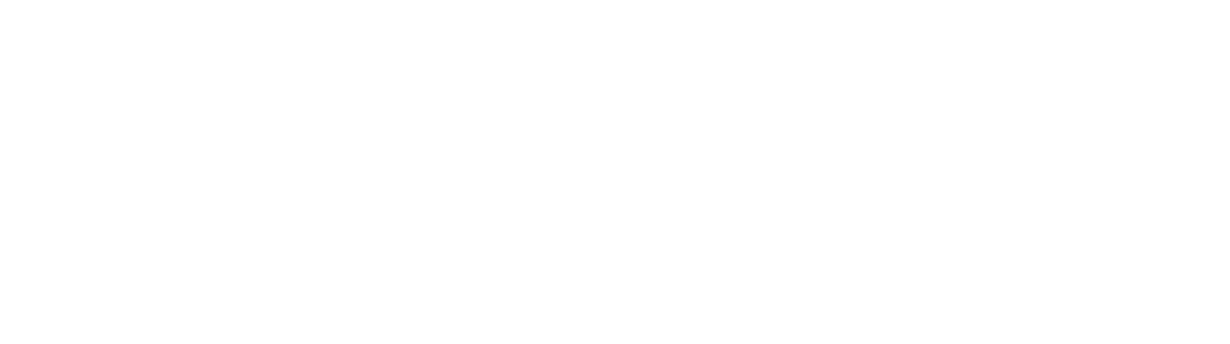 Logo Ricardo Isasa & Cía LTDA